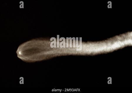 Cape Canaveral, Florida, USA. 15. Januar 2023. SpaceX startete einen Falcon Heavy Secret Air Force Launh vom LC-39A Kennedy Space Center 8 Minuten nach dem Start landeten die beiden Hauptbooster in der Cape Canaveral Space Force Station um LZ1 und LZ2 Credit: Julian Leek/Alamy Live News Stockfoto