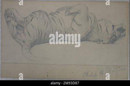 Der schlafende Tiger Philip H. Wolfrom (Amerikaner, 1870-1904). Schlafender Tiger, n. d.. Graphit auf Papier, Blatt: 5 1/2 x 8 15/16 Zoll (14 x 22,7 cm). American Art n.d. Stockfoto