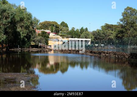 Mildura Tennisplätze und die Umgebung war während der Überschwemmungen von 2022-23 überflutet. Man kann Trümmer sehen, die sich in Zäunen und im Clubhaus i verfangen haben Stockfoto