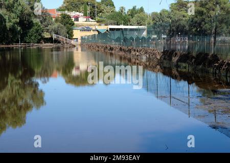 Mildura Tennisplätze und die Umgebung war während der Überschwemmungen von 2022-23 überflutet. Man kann Trümmer sehen, die sich in Zäunen und im Clubhaus i verfangen haben Stockfoto