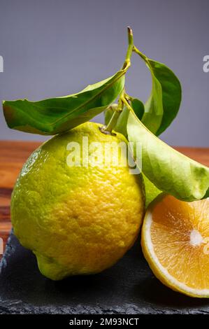 Zitronencitron Cedrate oder Citrus Medica, große, duftende Zitrusfrüchte mit dicker Rinde für die Herstellung von italienischem Limonchello Likör Stockfoto