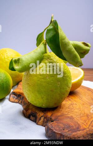 Auswahl an Zitrusfrüchten, reifer Bergamotte und Zitronencitron Cedrate oder Citrus Medica, große, duftende Zitrusfrüchte mit dicker Rinde Stockfoto