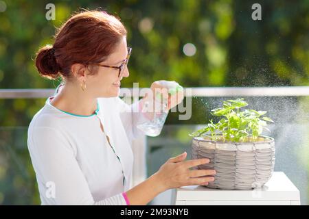 Eine Frau, die Balkonpflanzen bewässert. Kräutergarten auf der Terrasse. Junge Frau, die Wasser auf Topfkräuter spritzt. Basil in einem Topf auf der Apartmentterrasse. Stockfoto