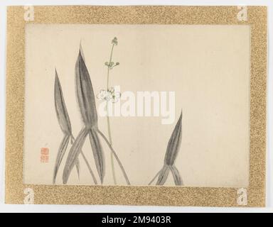 [Unbenannt] (Flower Subject) Nishiyama Hoen (Japanisch, 1804-1867). , 1855. Tinte und helle Farbe auf Papier, 20 5/8 x 14 7/8 Zoll (52,4 x 37,8 cm). Asiatische Kunst 1855 Stockfoto