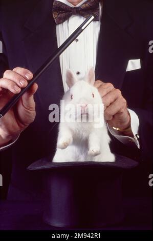 Nahaufnahme eines Zauberers, der ein Kaninchen aus einem Hut zieht Stockfoto