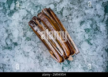 Ein paar leckere, frische Muscheln auf Eis auf einer Theke in einem Fischhändler Stockfoto