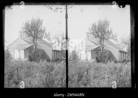 L. Eldert House, Rear, Eldert Lane bei Atlantic Avenue, Brooklyn Daniel Berry Austin (Amerikaner, geboren 1863, aktiv 1899-1909). , Ca. 1907. Trockenplatte aus Silbergelatine-Glas negativ ca. 1907 Stockfoto