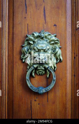 Antike dekorative Griffklopfer an der Holztür eines alten Hauses. Klassischer Löwenkopf aus Metallbronze. Hochwertiges Foto Stockfoto