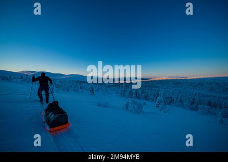 Skitour im Pallas-Yllästunturi-Nationalpark, Muonio, Lappland, Finnland Stockfoto