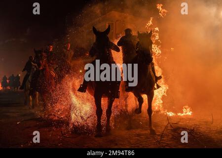 San Bartolome De Pinares, Spanien. 16. Januar 2023. Eine Reitgruppe reitet durch ein Lagerfeuer mit Pinienzweigen im Dorf San Bartolome de Pinares während des traditionellen religiösen Festivals „Las Luminarias“ zu Ehren von San Antonio Abad (Heiliger Anthony), schutzpatron der Tiere, das jede Nacht im Januar 16 gefeiert wird. Die Reiter nehmen an einer Prozession mit ihren Pferden und Eseln Teil und überqueren die zahlreichen Lagerfeuer, die in den Straßen der Stadt angezündet werden. Kredit: SOPA Images Limited/Alamy Live News Stockfoto