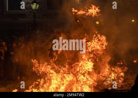 San Bartolome De Pinares, Spanien. 16. Januar 2023. Ein Reiter reitet durch ein Lagerfeuer mit Pinienzweigen im Dorf San Bartolome de Pinares während des traditionellen religiösen Festivals „Las Luminarias“ zu Ehren von San Antonio Abad (Heiliger Antonius), schutzpatron der Tiere, das jeden Abend im Januar 16 gefeiert wird. Die Reiter nehmen an einer Prozession mit ihren Pferden und Eseln Teil und überqueren die zahlreichen Lagerfeuer, die in den Straßen der Stadt angezündet werden. (Foto: Guillermo Gutierrez/SOPA Images/Sipa USA) Guthaben: SIPA USA/Alamy Live News Stockfoto