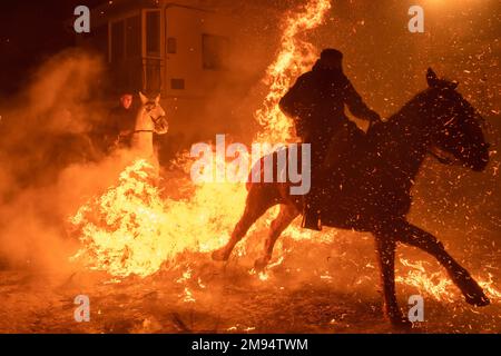 San Bartolome De Pinares, Spanien. 16. Januar 2023. Ein Reiter reitet durch ein Lagerfeuer mit Pinienzweigen im Dorf San Bartolome de Pinares während des traditionellen religiösen Festivals „Las Luminarias“ zu Ehren von San Antonio Abad (Heiliger Antonius), schutzpatron der Tiere, das jeden Abend im Januar 16 gefeiert wird. Die Reiter nehmen an einer Prozession mit ihren Pferden und Eseln Teil und überqueren die zahlreichen Lagerfeuer, die in den Straßen der Stadt angezündet werden. (Foto: Guillermo Gutierrez/SOPA Images/Sipa USA) Guthaben: SIPA USA/Alamy Live News Stockfoto