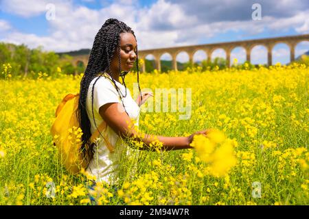 Ein schwarzes Mädchen mit Zöpfen auf einem Feld gelber Blumen Stockfoto