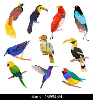 Tropische Vögel, Papageien und colibri auf Ästen Stock Vektor