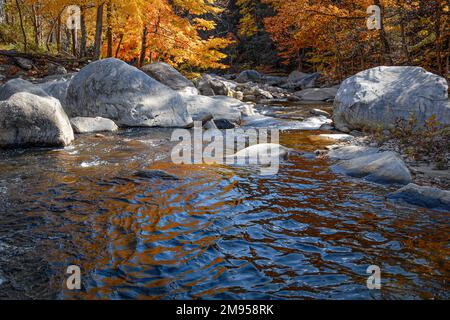 Das Sonnenlicht filtert durch die Herbstblätter auf Felsen und Felsbrocken im wunderschönen Bach von Chimney Rock, North Carolina. (USA) Stockfoto