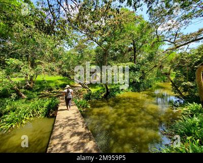 Chinesische maya-Ruinen in der Nähe des Montebello-Sees, Chiapas, Mexiko Stockfoto