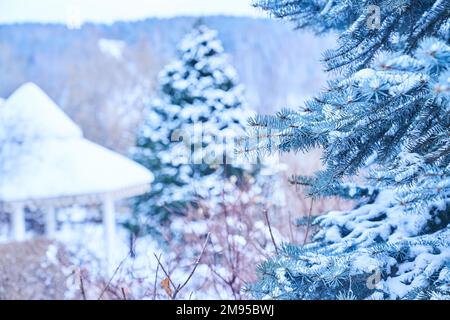 Das schneebedeckte Dach eines Pavillons im Wald am Himmel. Ein schneebedeckter Waldpark im Winter mit einem hölzernen Pavillon vor dem Hintergrund von Nadelbäumen. Hochwertiges Foto Stockfoto