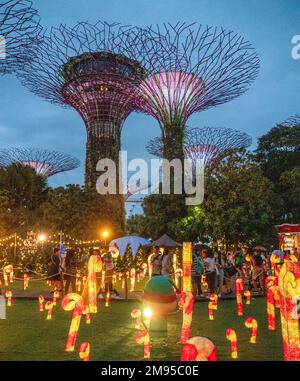 Beleuchtete Supertrees vertikale Gärten bei Nacht in Gardens by the Bay Singapore Stockfoto