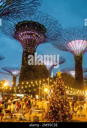Beleuchtete Supertrees vertikale Gärten bei Nacht in Gardens by the Bay Singapore Stockfoto