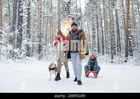 Familienfahrten mit der Tochter und Spaziergänge mit dem Hund im Wald während der Winterferien Stockfoto