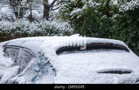 Truro, Großbritannien, 17. Januar 2023. Es gab eine schwere Schneebedeckung heute Morgen in einem Garten in Truro, Cornwall, was für die Gegend ungewöhnlich ist. Lokale Schulen haben die Eröffnung verzögert und einige sind aufgrund der vereisten Bedingungen geschlossen. Die Vorhersage ist für eine Höchsttemperatur von 5C°C den ganzen Tag mit weiteren Schneeschauern heute oder heute Abend. Gutschrift: Keith Larby/Alamy Live News Stockfoto