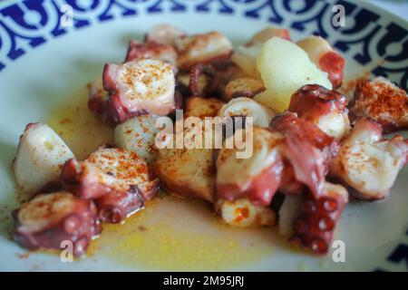 Köstlicher Tintenfisch mit Olivenöl, Salz und Paprika in Galicien, Spanien Stockfoto