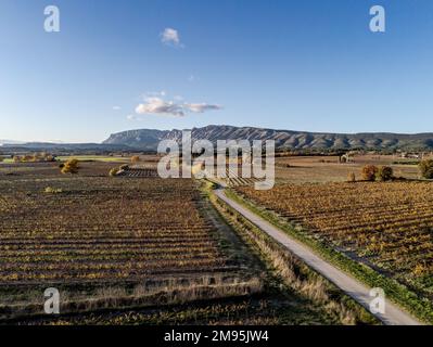 Puyloubier (Südostfrankreich): Weinberge und Landstraße aus der Vogelperspektive im Herbst mit dem Berg Sainte-Victoire im Hintergrund Stockfoto