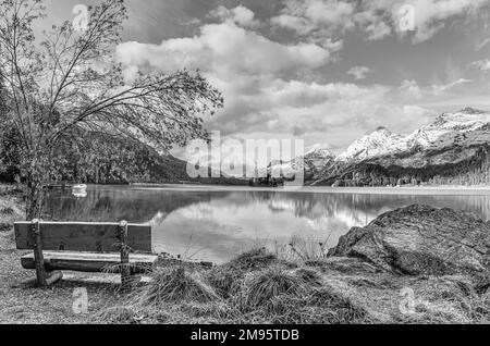 Parkbank in Herbstlandschaft am Lake Sils, Engadine, Schweiz, mit Piz Margna im Hintergrund in Schwarz und Weiß Stockfoto