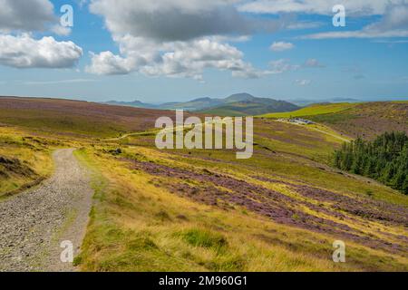 Blick nach Westen vom Pfad in Richtung Yr Eifl, über Nant Gwrtheyrn, auf der Llyn-Halbinsel in Gwynedd North Wales Stockfoto