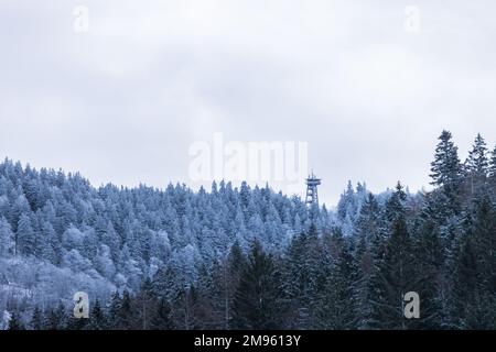 Freiburg, Deutschland. 17. Januar 2023. Schnee liegt auf den Bäumen um den Schauinsland Tower, während im Vordergrund Bäume mit weniger Schnee zu sehen sind. In den letzten Tagen waren einige Zentimeter Schnee gefallen, und laut Meteorologen werden in den nächsten Tagen weitere Zentimeter Schnee erwartet. Kredit: Philipp von Ditfurth/dpa/Alamy Live News Stockfoto