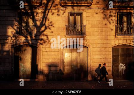 Früh am Morgen wird der Schatten eines Baumes auf die Fassade eines Gebäudes geworfen, während ein Mann die Straße in Barcelona entlang geht Stockfoto