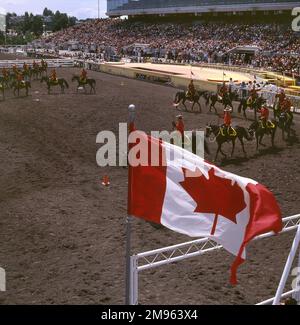 Eine Gruppe von Royal Canadian Mounted Police bei einer Stampede-Parade in Calgary. Stockfoto