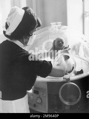 Eine Krankenschwester behandelt ein Frühgeborenes vorsichtig und hält seinen Kopf im Inkubator. Stockfoto