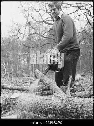 Ein Mann sägt Äste von einem Baum mit einer Benzinkettensäge. Stockfoto