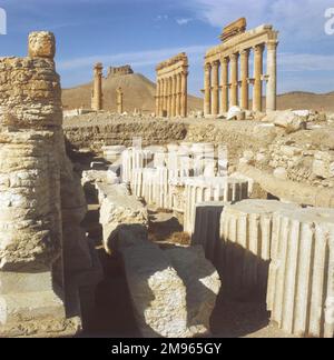 Die beeindruckende Kolonnade römischer Säulen in Palmyra, Syrien. Stockfoto