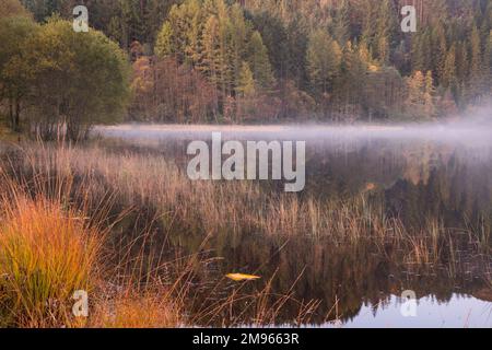 Nebliger Morgen über Loch Chon, Loch Lomond und Trossachs National Park, Schottland Stockfoto