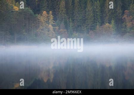 Nebliger Morgen über Loch Chon, Loch Lomond und Trossachs National Park, Schottland Stockfoto