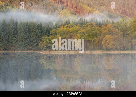 Nebliger Morgen über Loch Chon, Loch Lomond und Trossachs National Park, Schottland Stockfoto