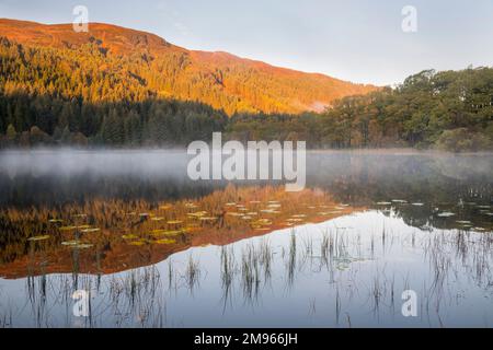 Nebliger Morgen über Loch Chon, Loch Lomond und Trossachs National Park, Schottland Stockfoto