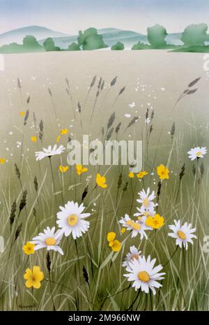 Eine klassische englische Landschaftsszene in einem Sommerfeld mit Butterblumen und Gänseblümchen inmitten von wilden Gräsern. Airbrush-Malerei von Malcolm Greensmith. Stockfoto