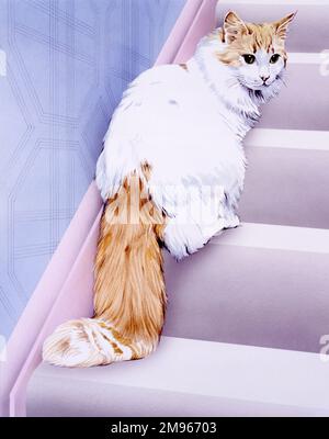 Eine Katze, die auf der Treppe sitzt. Aquarellmalerei von Malcolm Greensmith Stockfoto