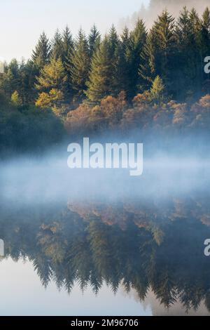 Nebliger Morgen über Loch Chon, Loch Lomond und Trossachs National Park, Schottland Stockfoto