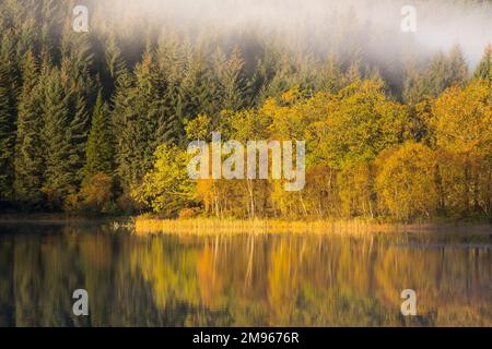 Nebliger Morgen über Loch Chon, Loch Lomond und Trossachs National Park, Schottland Stockfoto