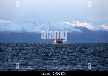 Troon, Ayrshire, Schottland, Großbritannien. MV Hebridische Inseln, Abfahrt von Troon für eine nicht standardmäßige Segeltour nach Arran. Zweimal täglich nur Fracht von Troon, um Platz auf dem Ardrossan-Boot zu schaffen. Das Schiff HEBRIDEN INSELN ist ein Passagier-/Ro-Ro-Frachtschiff, das 1985 gebaut wurde (38 Jahre alt) und derzeit unter der Flagge des Vereinigten Königreichs (UK) fährt. Stockfoto