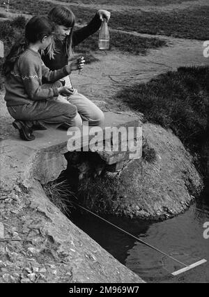 Zwei Mädchen, die in einem Bach angeln. Sie sehen, was sie in einer Milchflasche gefangen haben. Stockfoto