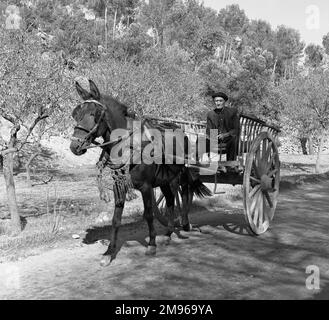 Ein Mann mit Pferd und Wagen, der auf einer Landstraße reitet. Stockfoto