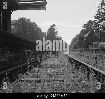 Eine Frau, die auf einer stillgelegten Eisenbahnstrecke spaziert, die mit Unkraut überwuchert ist. Stockfoto