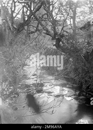 Blick auf Caman Brook, der zur Kathedrale führt, die durch die Bäume sichtbar ist, in St. David's, Pembrokeshire, Dyfed, Südwales. Stockfoto