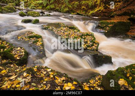 Wasserfälle bei den Birks of Aberfeldy, Moness Burn, Perth und Kinross, Schottland Stockfoto