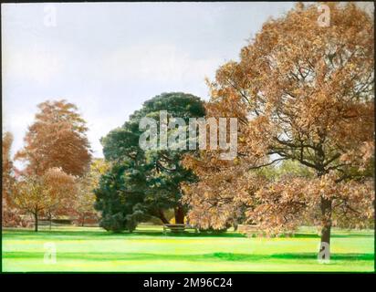 Kew Gardens, West London, im Herbst. Stockfoto